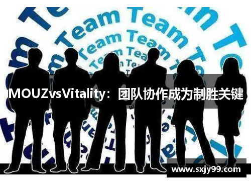MOUZvsVitality：团队协作成为制胜关键